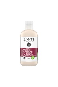 Šampon Sante Family pro lesk vlasů 250 ml