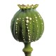 Natural opium - vonné tyčinky 250 gr